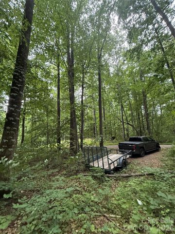 9999 Countryside Estate, Barnardsville, NC 28709