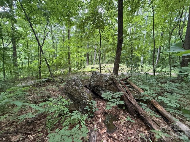 9999 Countryside Estate, Barnardsville, NC 28709