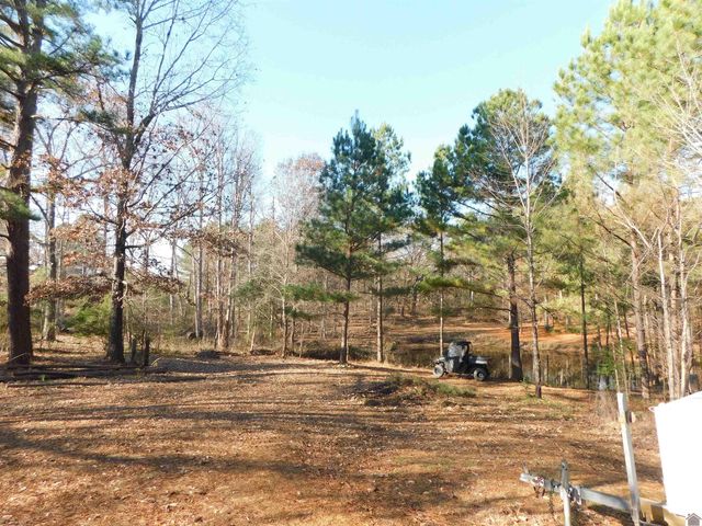 173 Starks Cemetery Road, Benton, KY 42025