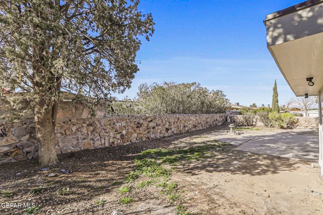 1613 Opossum Circle, Horizon City, TX 79928