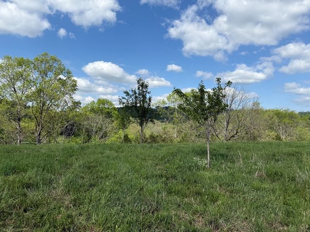 222 Cook Hollow Ln, Pleasant Shade, TN 37145