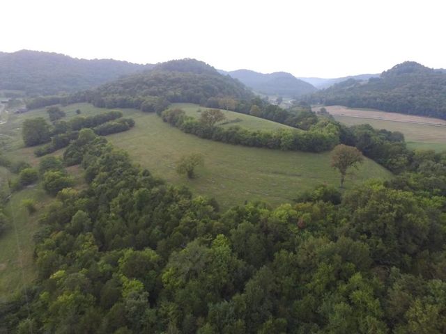 222 Cook Hollow Ln, Pleasant Shade, TN 37145