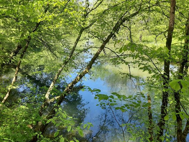 222 Cook Hollow Ln, Pleasant Shade, TN 37145