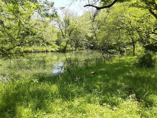 222 Cook Hollow Ln, Pleasant Shade, TN 37145