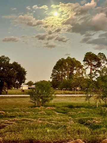 TBD S Mallard Drive, Fulshear, TX 77441