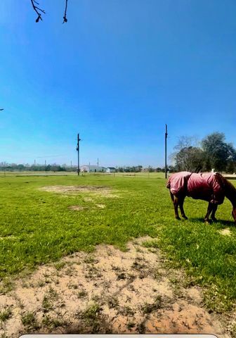 TBD S Mallard Drive, Fulshear, TX 77441