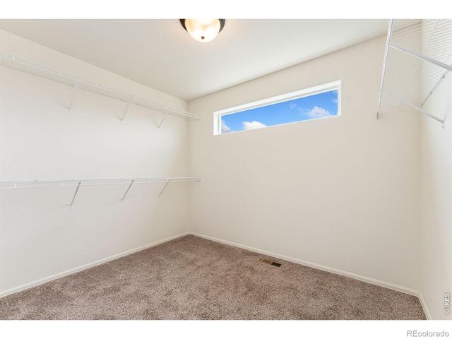 811 Saiga Drive, Severance, CO 80550