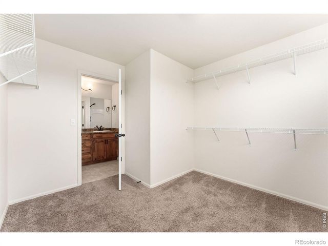 811 Saiga Drive, Severance, CO 80550