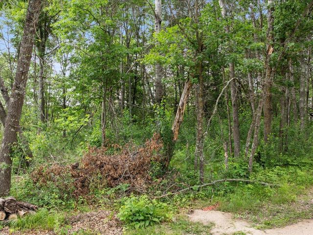 TBD E Cree Bay Circle, Pequot Lakes, MN 56472
