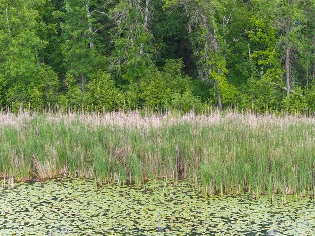 TBD E Cree Bay Circle, Pequot Lakes, MN 56472