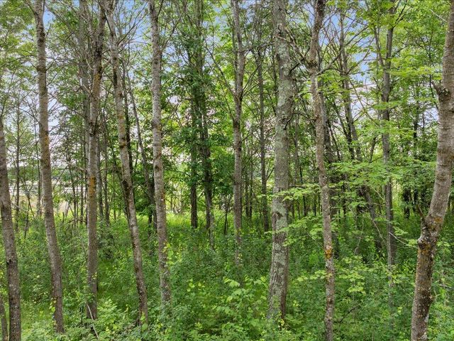 TBD E Cree Bay Circle, Pequot Lakes, MN 56472