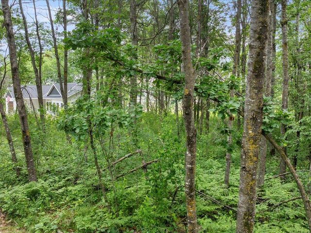 TBD E Cree Bay Circle, Pequot Lakes, MN 56472