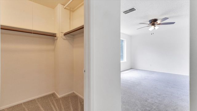 12826 Palm Desert Lane, Houston, TX 77099