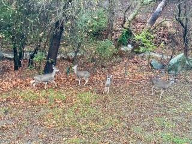 1212 Shelby Creek Lane, San Jose, CA 95120