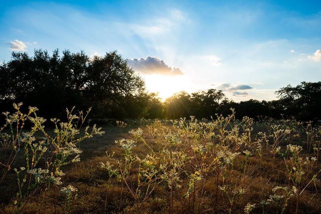 2501 Wayside DR, Wimberley, TX 78676