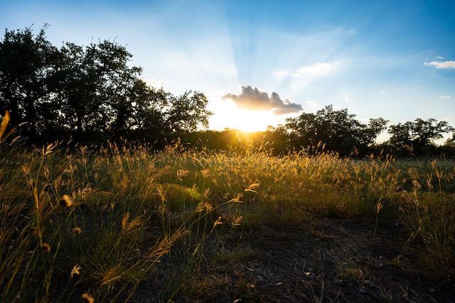 2501 Wayside DR, Wimberley, TX 78676