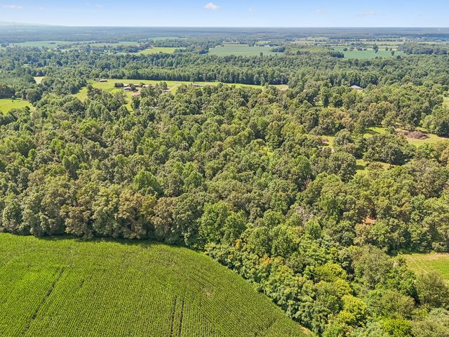 346 Toy Denny Rd, Bradyville, TN 37026