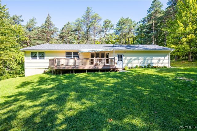 9299 Blanchard Road, Colden, NY 14170