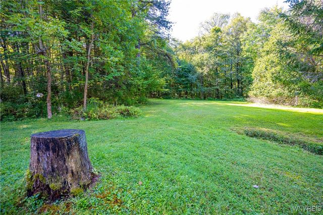 9299 Blanchard Road, Colden, NY 14170