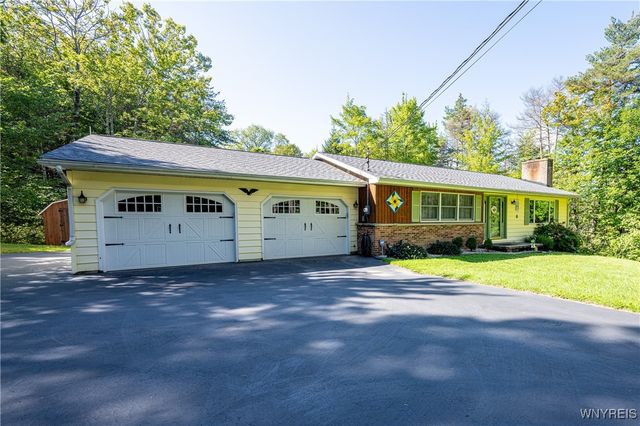 9299 Blanchard Road, Colden, NY 14170