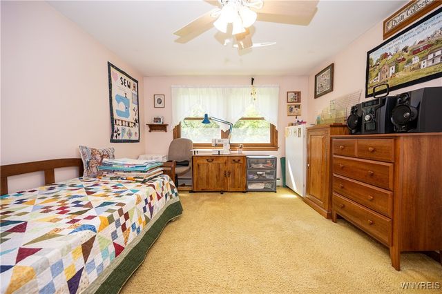 9299 Blanchard Road, Colden, NY 14170