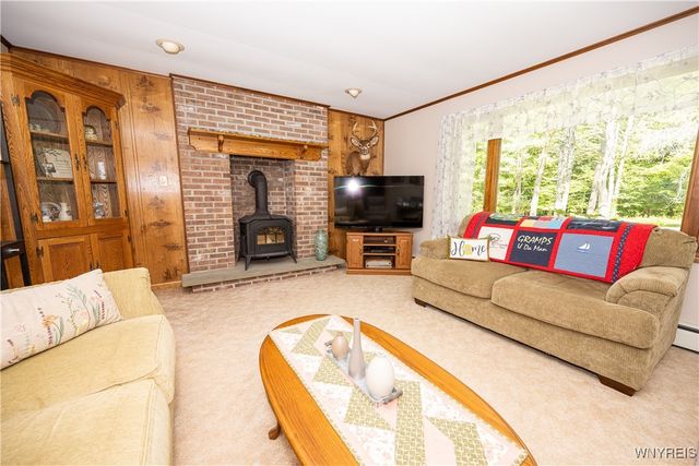 9299 Blanchard Road, Colden, NY 14170