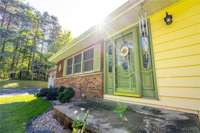 9299 Blanchard Road, Colden, NY 14170