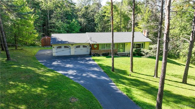 9299 Blanchard Road, Colden, NY 14170