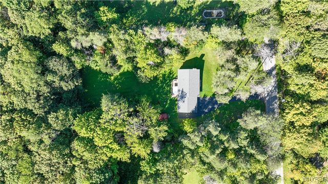 9299 Blanchard Road, Colden, NY 14170