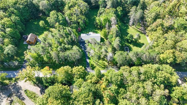 9299 Blanchard Road, Colden, NY 14170