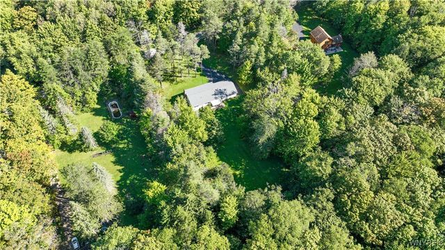 9299 Blanchard Road, Colden, NY 14170