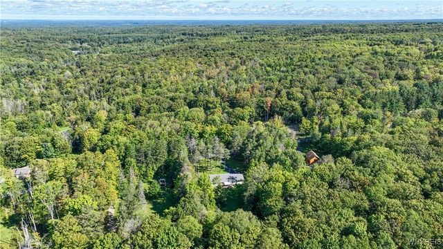 9299 Blanchard Road, Colden, NY 14170