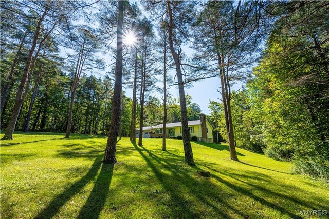 9299 Blanchard Road, Colden, NY 14170