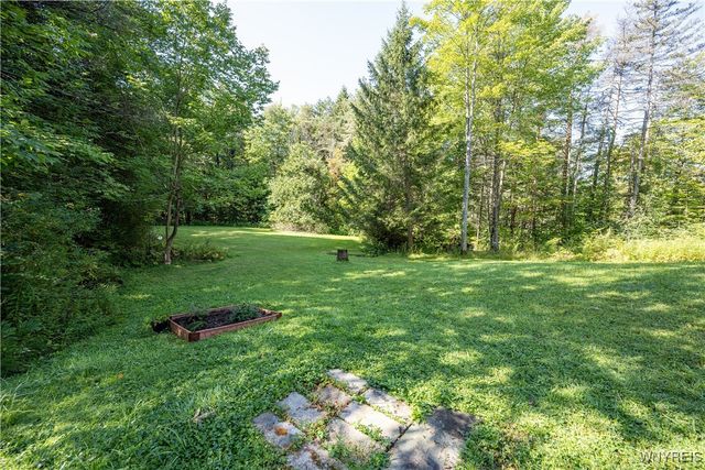 9299 Blanchard Road, Colden, NY 14170