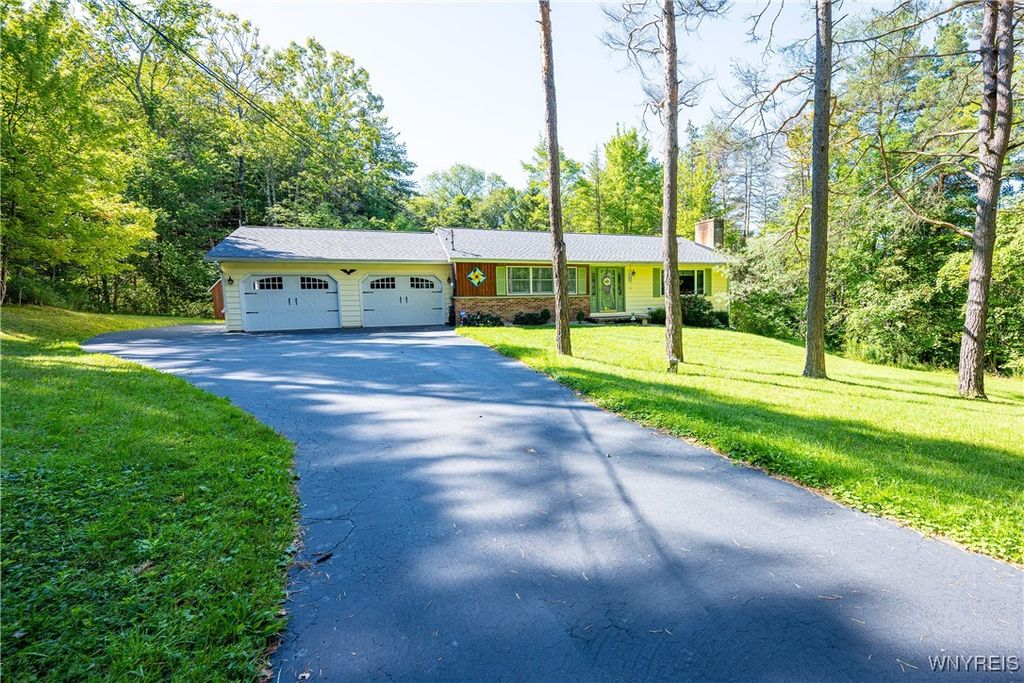 9299 Blanchard Road, Colden, NY 14170