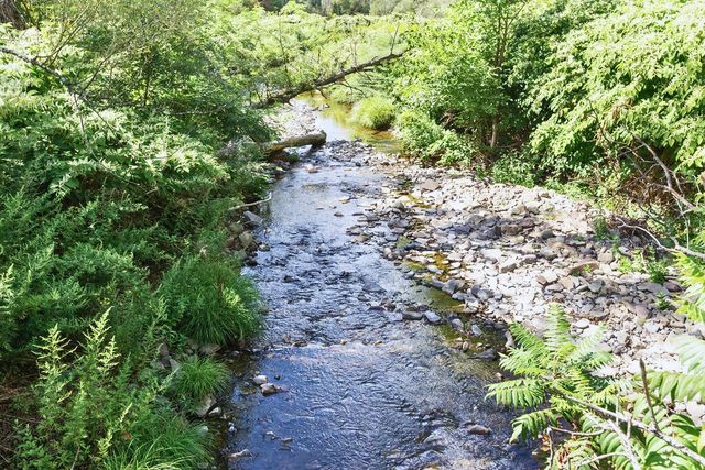 2260 East Handsome Brook Road, Franklin, NY 13775