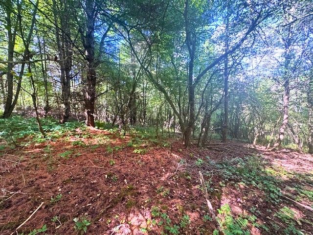 2260 East Handsome Brook Road, Franklin, NY 13775