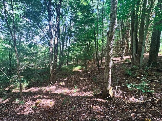 2260 East Handsome Brook Road, Franklin, NY 13775