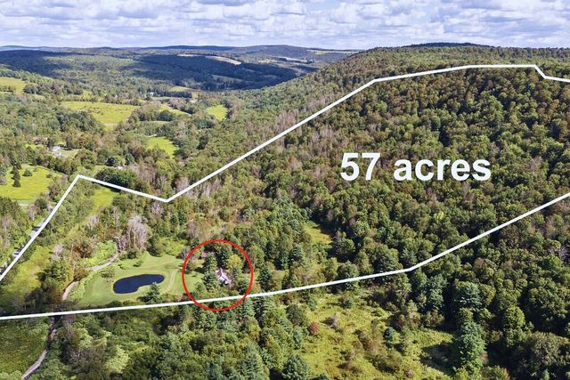 2260 East Handsome Brook Road, Franklin, NY 13775