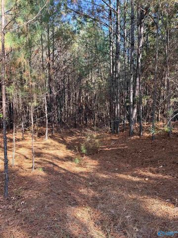 9400 Bradford Trafford Road, Warrior, AL 35180