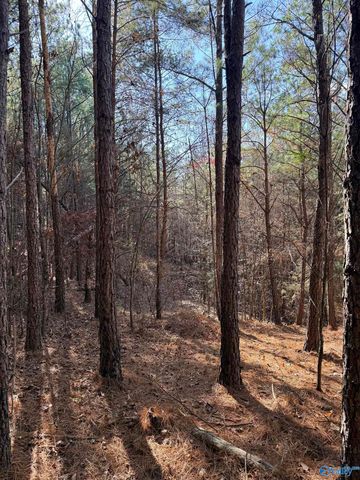 9400 Bradford Trafford Road, Warrior, AL 35180