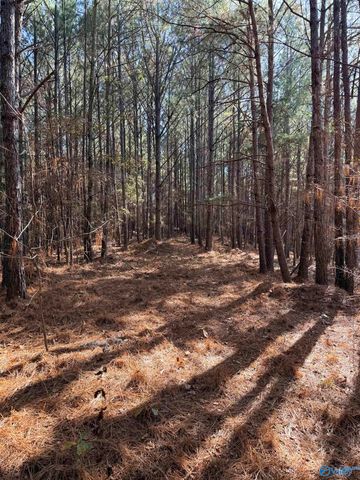 9400 Bradford Trafford Road, Warrior, AL 35180