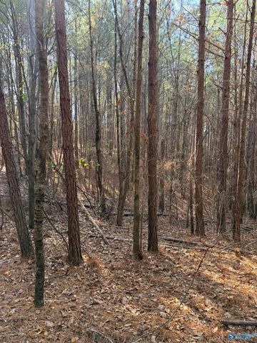 9400 Bradford Trafford Road, Warrior, AL 35180