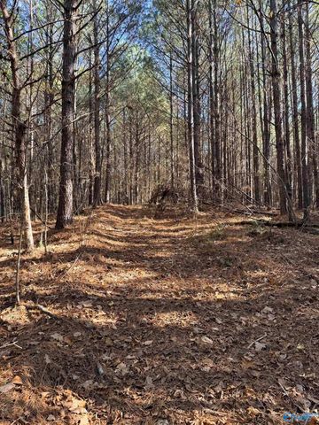 9400 Bradford Trafford Road, Warrior, AL 35180