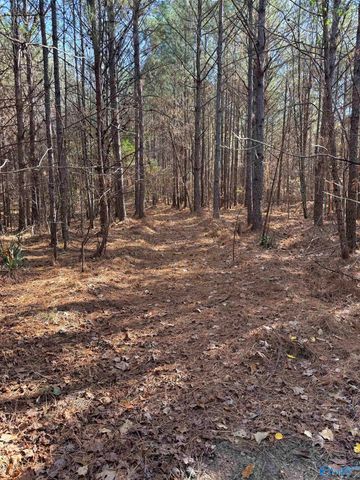 9400 Bradford Trafford Road, Warrior, AL 35180