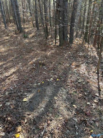 9400 Bradford Trafford Road, Warrior, AL 35180