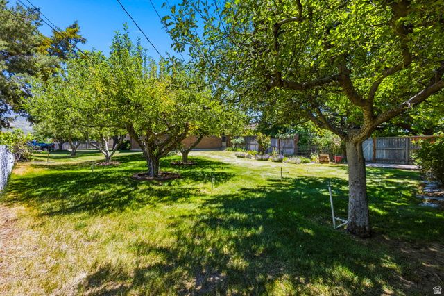 495 N 500 E, Orem, UT 84097