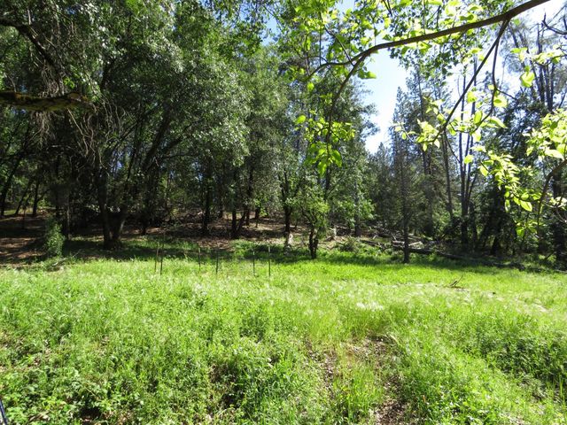 24040 Tokayana Way, Colfax, CA 95713