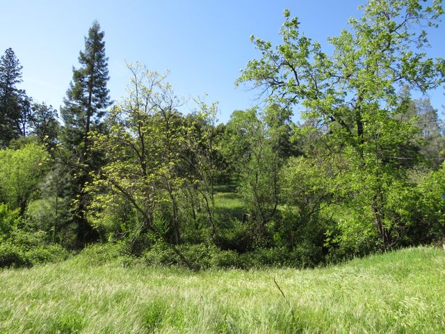 24040 Tokayana Way, Colfax, CA 95713