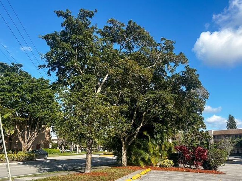10332 SUNRISE LAKES Boulevard 111, Sunrise, FL 33322